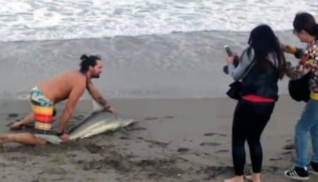 Un idiot sort un requin de l’eau juste pour quelques photos Idiot, Requin, Photos, Floride