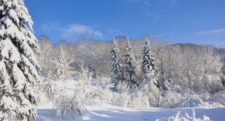 La neige est-elle en voie de disparition ?