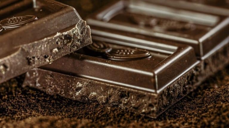 Le chocolat, un aliment aux multiples bienfaits