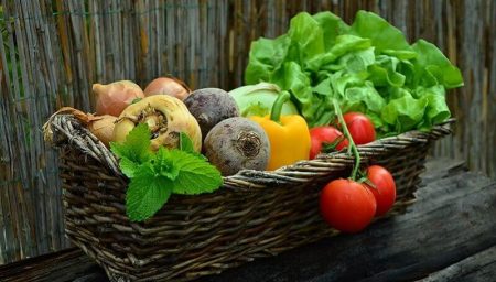 Cueillir ses légumes au supermarché, c’est possible au Canada Cueillir légumes, Supermarché