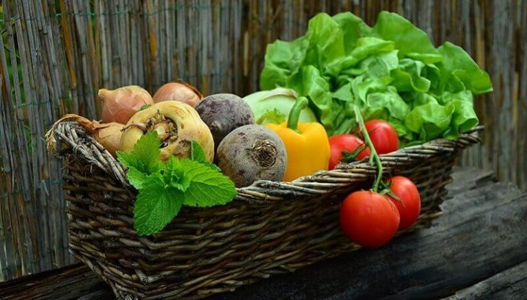 Cueillir ses légumes au supermarché, c&rsquo;est possible au Canada