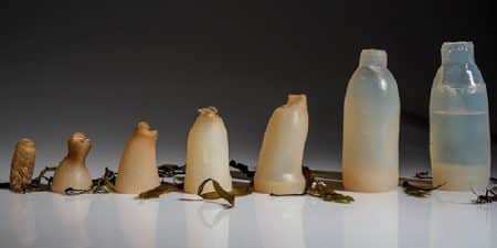 Fabrication, Bouteilles, Algues