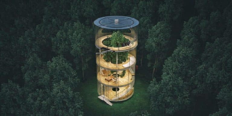 Une superbe maison de verre construite autour d&rsquo;un arbre