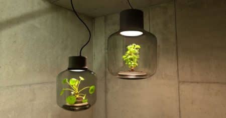 Ces lampes créent un écosystème sans eau ni lumière naturelle Les deux versions de la Mygdal Plantlamp