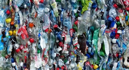 La bactérie mangeuse de plastique: un nouvel espoir contre la pollution Plastique, bouteille