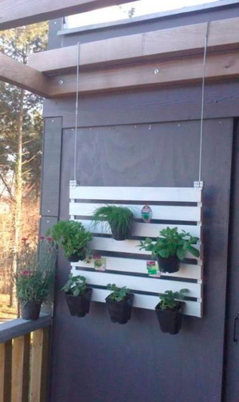 recyclage, palettes, bois, fleur