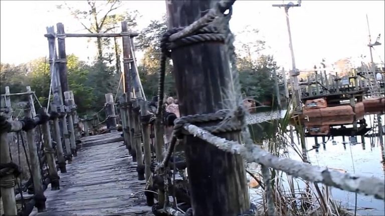 À River Country, un ancien parc d&rsquo;attractions Disney, la nature a repris ses droits