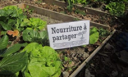 Incroyables comestibles: des potagers urbains en libre service ! Incroyables comestibles, potagers, urbains, legumes, gratuits