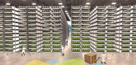 Une ferme verticale qui produit 1000 tonnes de laitues par an Ferme verticale, Laitues