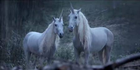Licorne, Animal ancien, Existe