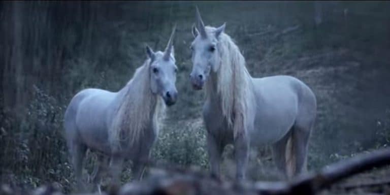 La licorne sibérienne, une espèce qui a vécu sur notre planète