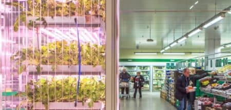 Un supermarché de Berlin propose de cueillir ses légumes dans une serre verticale Serre verticale, Supermarché, Berlin