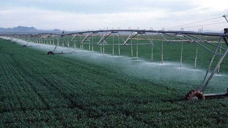 Le Smart Farming, le futur de l’agriculture Smart farming, l'agriculture du futur