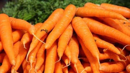Pourquoi la carotte est-elle orange ? Tout est une histoire de gènes Carottes oranges, carotène bon pour la santé