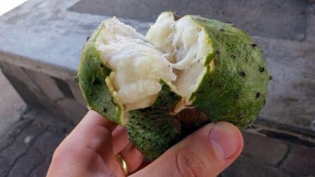 Le corossol, le fruit magique qui aide à lutter contre le cancer ? Corossol, fruit