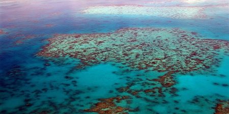 Disparition, Grande barrière, Corail