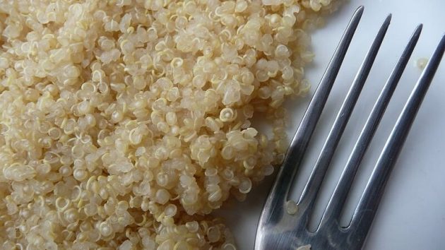 Quinoa cuit avec une fourchette