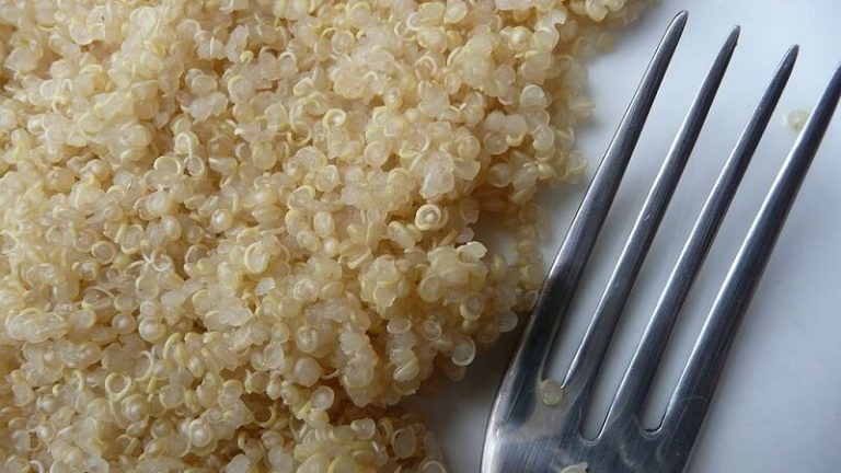 Le quinoa, la pseudo-céréale aux mille vertus