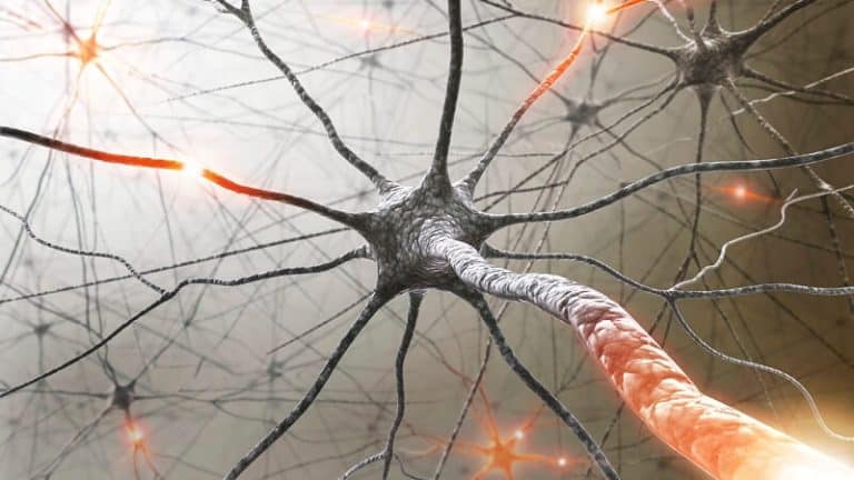 Sclérose en plaques: quels diagnostics et traitements disponibles ?