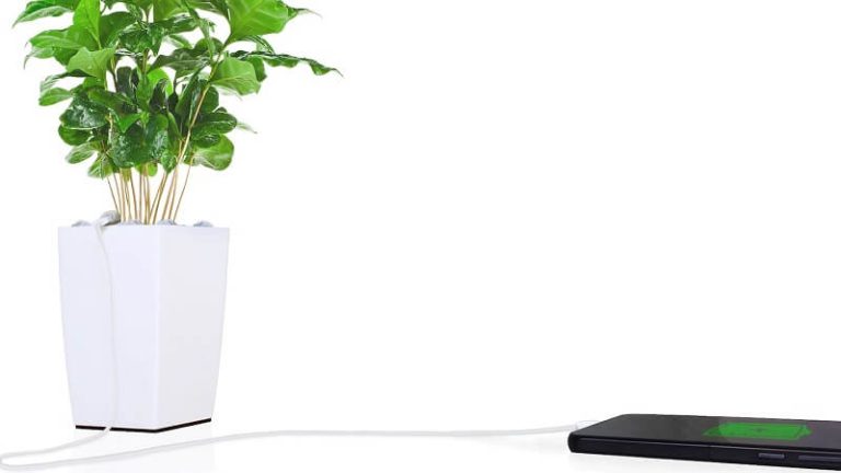 Bioo Lite: un pot de fleur qui recharge votre téléphone de manière 100% écolo