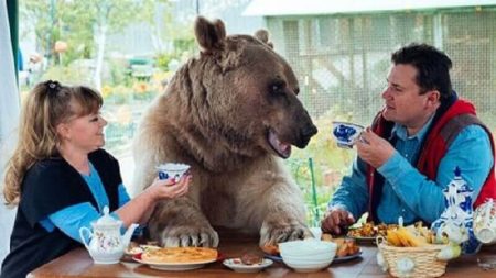 Un couple russe vit avec un ours