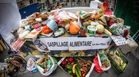 Gaspillage alimentaire: rachetez les invendus perissables à petits prix grâce à Too Good To Go Gaspillage alimentaire, application Too Good To Go