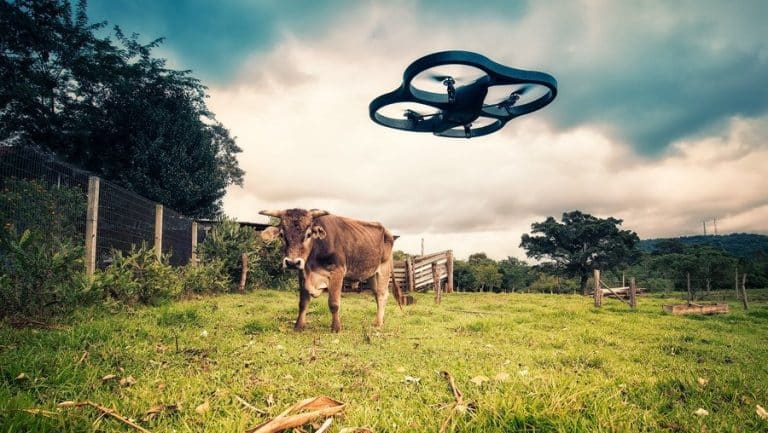 Agriculture et digitalisation : une modernisation à grande vitesse !