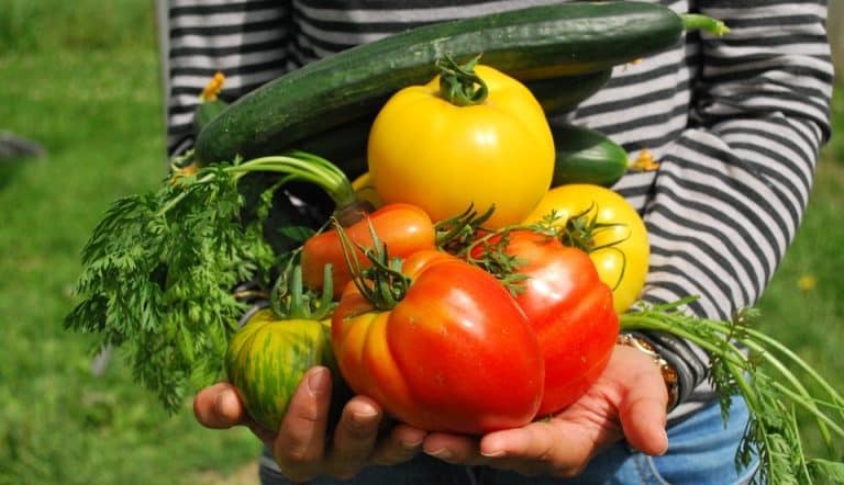 La généralisation de l’auto-production alimentaire est-elle inévitable ?