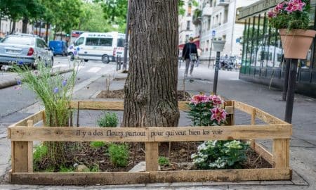 Paris permet à ses habitants de jardiner n’importe où Permis de végétaliser Paris