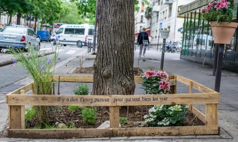Paris permet à ses habitants de jardiner n&rsquo;importe où