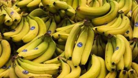 Banane disparition