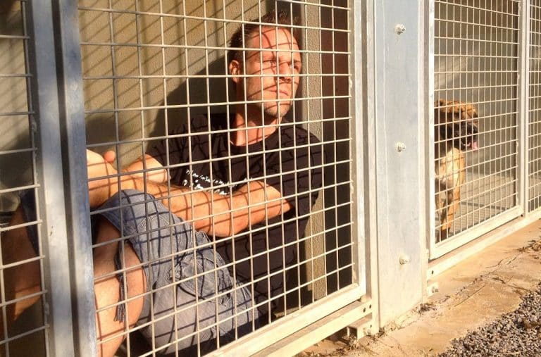 Pour libérer Rémi Gaillard de sa cage, adoptez !