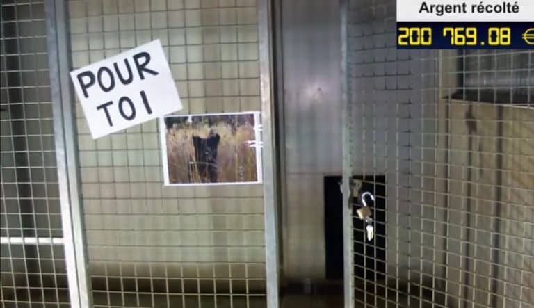 Après 86 heures, Rémi Gaillard sort de sa cage et récolte plus de 200.000€