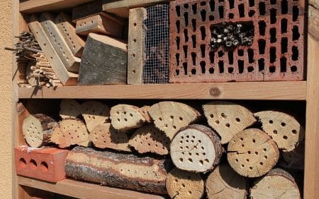 Fabrication d'un hôtel à insectes