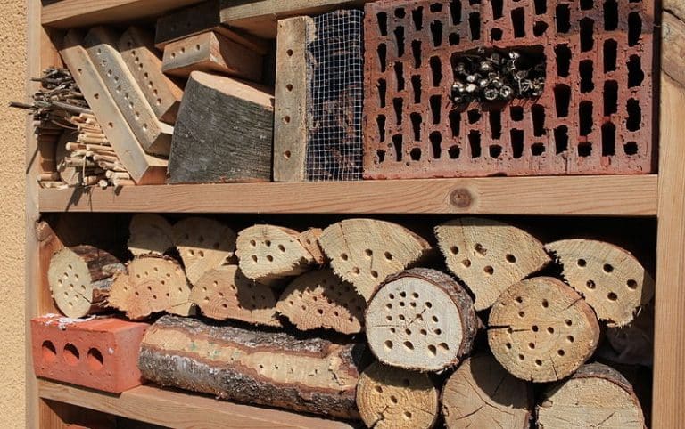 Comment fabriquer un hôtel à insectes pour son jardin ?