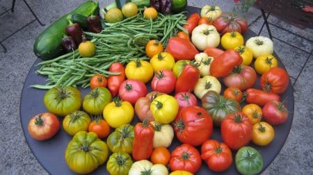 Permaculture urbaine : ce petit jardin lui permet de récolter 300 kg de légumes ! Jardin de Joseph Chauffrey
