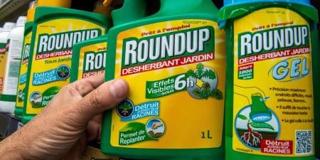Glyphosate : détails sur l’épineux problème du désherbant le plus utilisé au monde