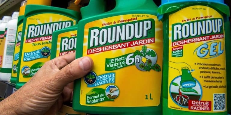Glyphosate : détails sur l&rsquo;épineux problème du désherbant le plus utilisé au monde