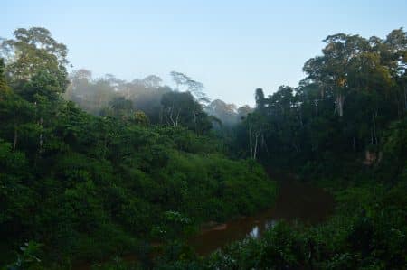Guyane