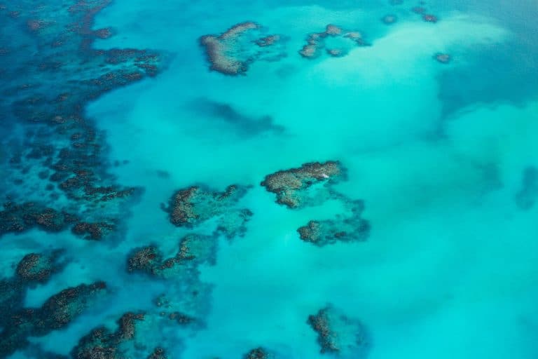 Une entreprise française tente de réconcilier tourisme et écologie grâce aux récifs artificiels