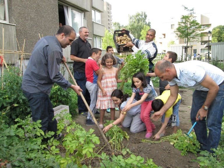 72 % des Bruxellois possèdent un potager public