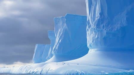 Découverte d’une vieille forêt de 260 millions d’années en Antarctique Decouverte d'une vieille foret de 260 millions d'annees en Antarctique
