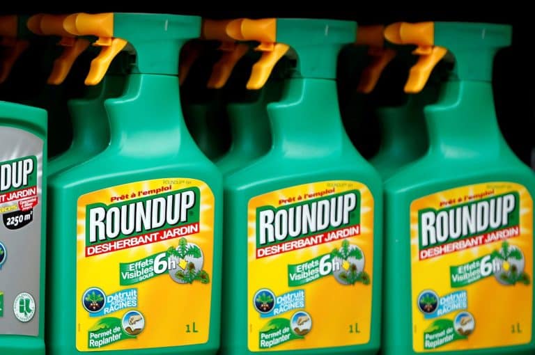 La sortie du glyphosate dans trois ans en France : possible source de contentieux juridiques