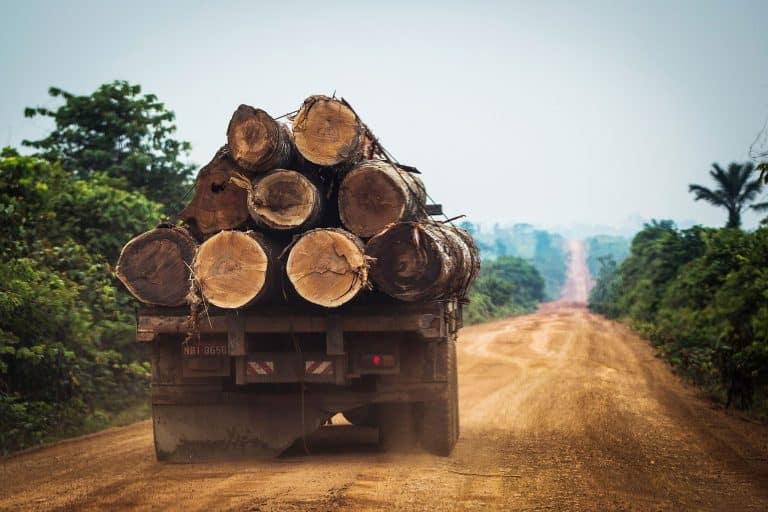 Comment résoudre l’équation croissance économie et préservation de l’environnement ?