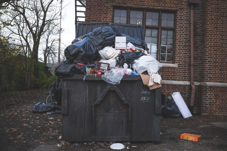 Un nouveau procédé permet de transformer les déchets alimentaires en plastiques biodégradables