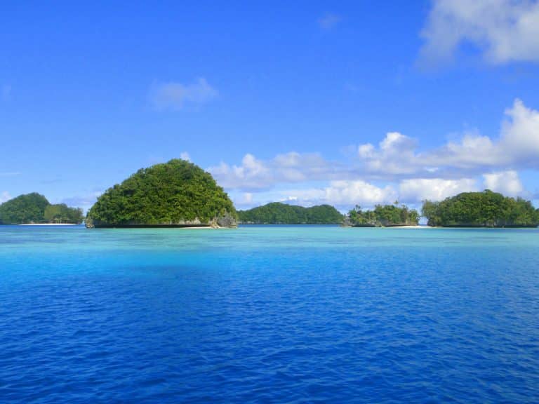 Les îles Palaos, un paradis auquel il faut prêter serment pour le visiter
