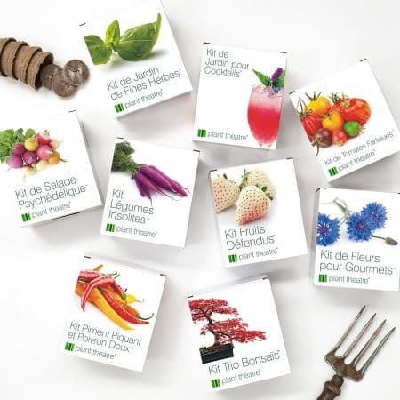 Noël : offrez des kits originaux avec Plant Theatre plant