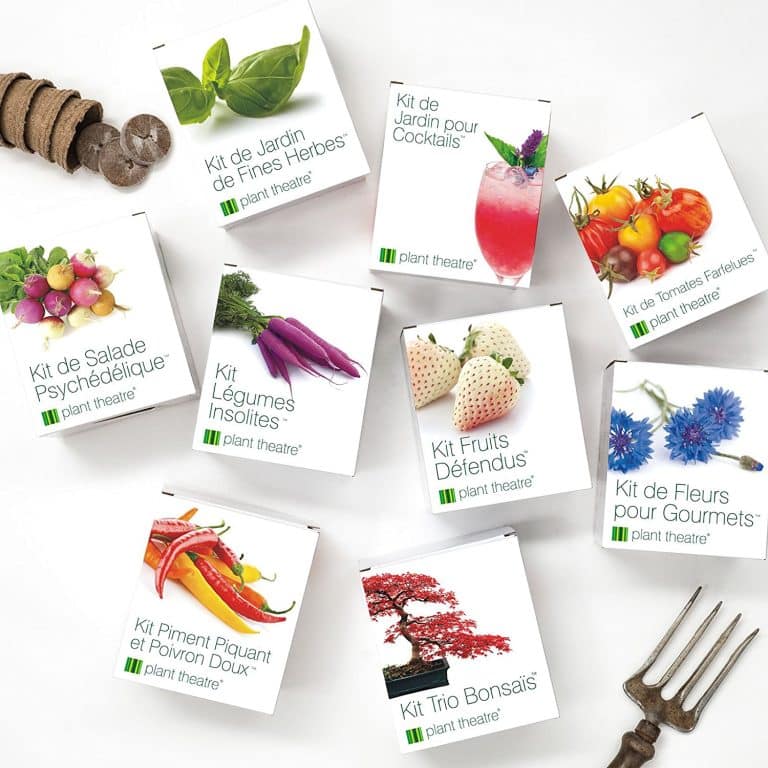 Noël : offrez des kits originaux avec Plant Theatre