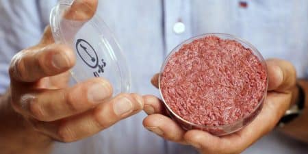 Découvrez la viande de demain qui sera produite en laboratoire