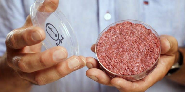 Découvrez la viande de demain qui sera produite en laboratoire
